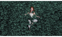 PPG Vining Ivy：2023 年值得关注的颜色