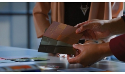 PPG 通过跨文化方式用色彩美化世界